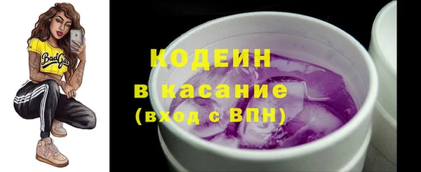 индика Уссурийск