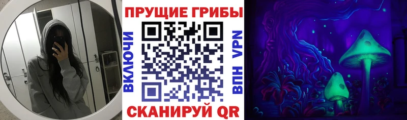 дарнет шоп  Старый Крым  Галлюциногенные грибы мицелий 